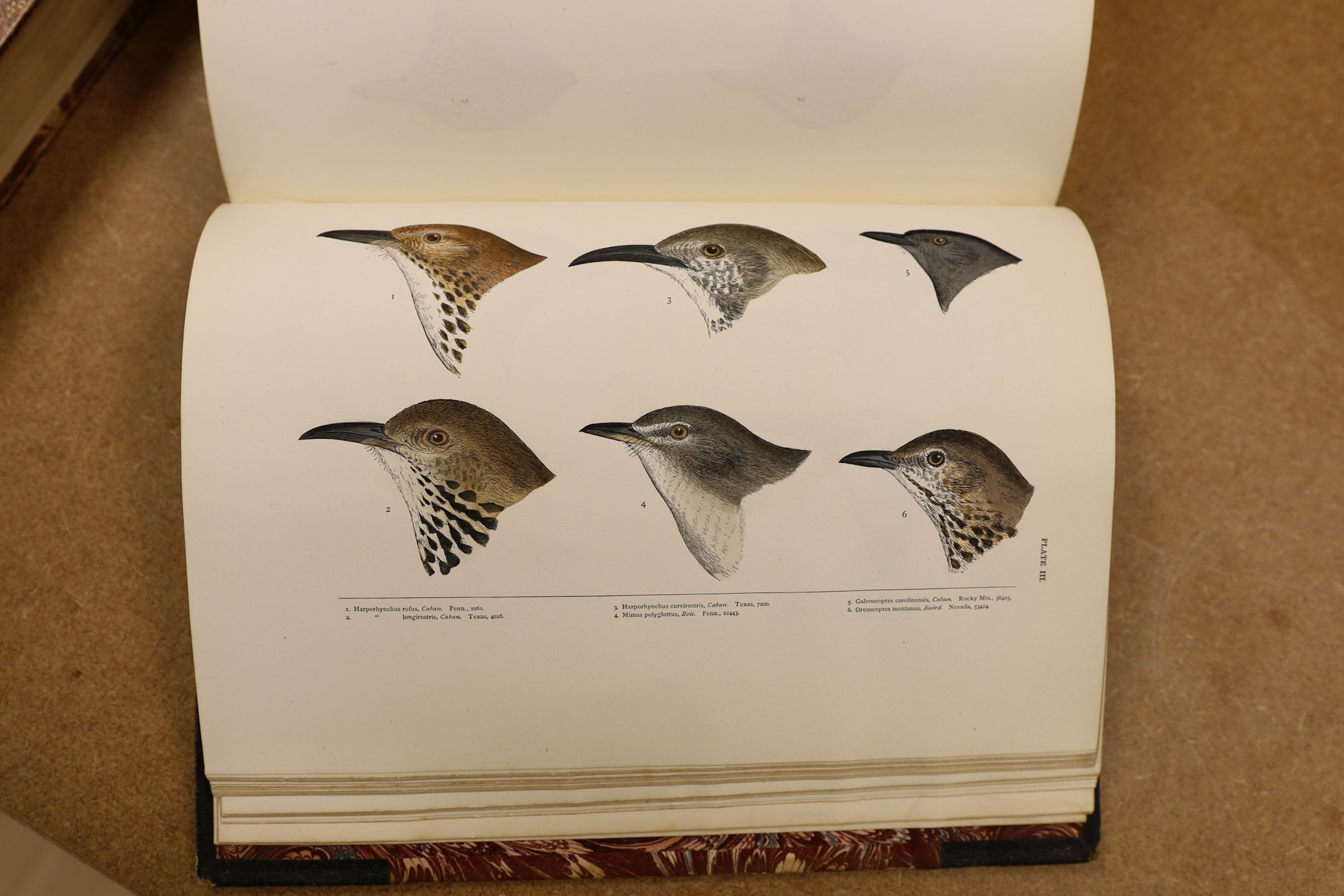 Baird, S.F. & Others - A History of North America Birds: Land Birds, 3 vols., coloured plates and other illus.; old half leather and marbled boards, gilt tops and marbled e/ps., 4to.